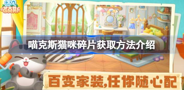 遇见喵克斯猫咪碎片怎么获得-遇见喵克斯猫咪碎片获取一览