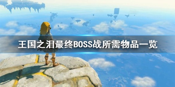 塞尔达传说王国之泪最终BOSS战所需物品是什么-BOSS战所需物品分享