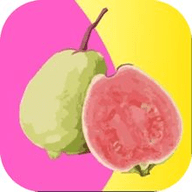 草莓视频直播免费入口app