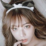 荷花6616TV安装包在线下载