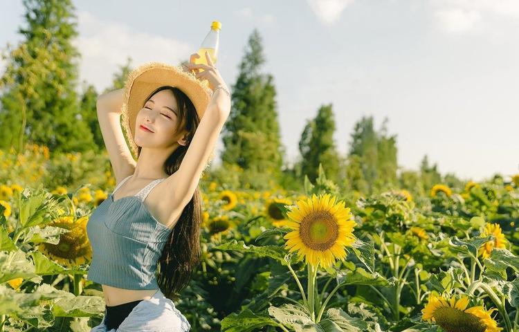 如何选择十大污污软件