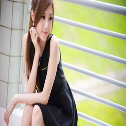 含羞草免费观看电视剧最新集数：追剧党的福音与精彩解析