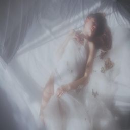 四LLL少妇BBBB槡BBBB的网络现象与应用探索