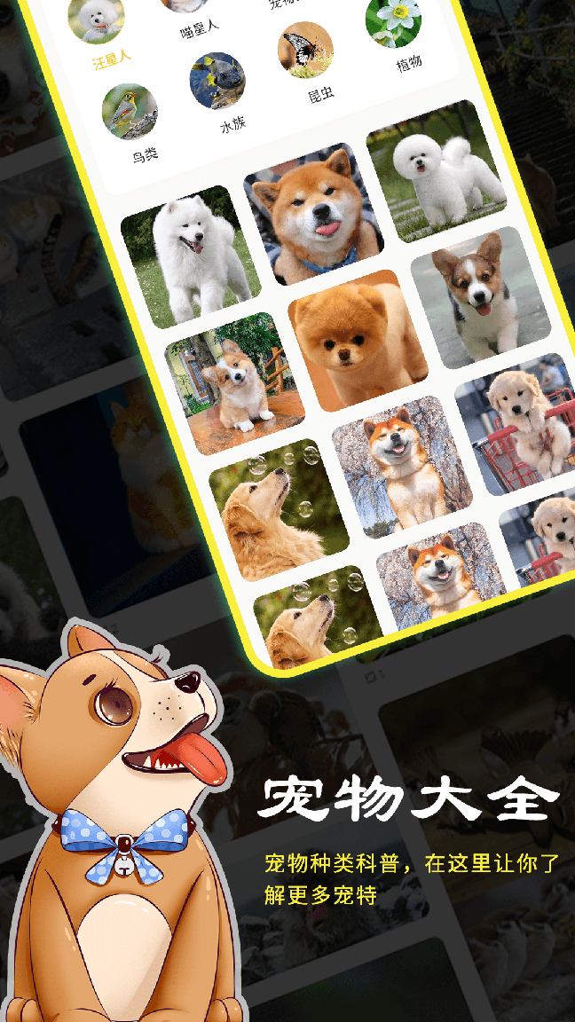 宠本本app3